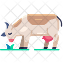 پیش‌نمایش فایل cow-6440863 از پک کشاورزی