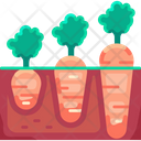 پیش‌نمایش فایل growing-carrot-6440880 از پک کشاورزی