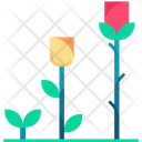 پیش‌نمایش فایل growing-flower-6440881 از پک کشاورزی