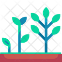 پیش‌نمایش فایل growing-tree-6440882 از پک کشاورزی