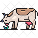 پیش‌نمایش فایل cow-6441044 از پک کشاورزی