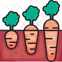 پیش‌نمایش فایل growing-carrot-6441061 از پک کشاورزی