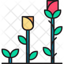 پیش‌نمایش فایل growing-flower-6441062 از پک کشاورزی