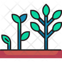 پیش‌نمایش فایل growing-tree-6441063 از پک کشاورزی