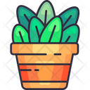 پیش‌نمایش فایل pot-plant-6450518 از پک باغبانی