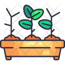 پیش‌نمایش فایل seedling-tray-6450524 از پک باغبانی