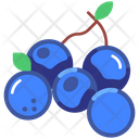 پیش‌نمایش فایل blueberry-6471403 از پک میوه