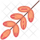 پیش‌نمایش فایل dates-6471409 از پک میوه