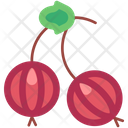 پیش‌نمایش فایل gooseberry-6471414 از پک میوه