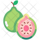 پیش‌نمایش فایل guava-6471418 از پک میوه