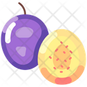 پیش‌نمایش فایل passion-fruit-6471432 از پک میوه