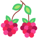 پیش‌نمایش فایل raspberry-6471440 از پک میوه