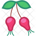 پیش‌نمایش فایل rosehip-6471442 از پک میوه