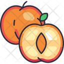 پیش‌نمایش فایل apricot-6471447 از پک میوه
