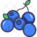 پیش‌نمایش فایل blueberry-6471453 از پک میوه