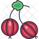 پیش‌نمایش فایل gooseberry-6471464 از پک میوه