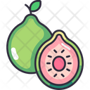پیش‌نمایش فایل guava-6471468 از پک میوه