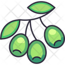 پیش‌نمایش فایل olive-6471478 از پک میوه
