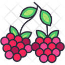 پیش‌نمایش فایل raspberry-6471490 از پک میوه