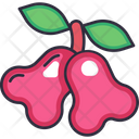 پیش‌نمایش فایل rose-apple-6471491 از پک میوه