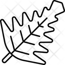 پیش‌نمایش فایل frisee-6483966 از پک سبزیجات