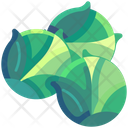 پیش‌نمایش فایل brussel-sprouts-6484040 از پک سبزیجات