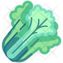 پیش‌نمایش فایل lettuce-6484059 از پک سبزیجات
