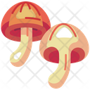 پیش‌نمایش فایل mushroom-shiitake-6484060 از پک سبزیجات