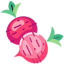 پیش‌نمایش فایل red-radish-6484069 از پک سبزیجات