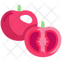 پیش‌نمایش فایل tomato-6484074 از پک سبزیجات