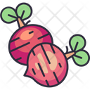 پیش‌نمایش فایل beetroot-6484086 از پک سبزیجات