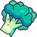 پیش‌نمایش فایل broccoli-6484089 از پک سبزیجات