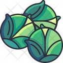 پیش‌نمایش فایل brussel-sprouts-6484090 از پک سبزیجات