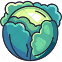 پیش‌نمایش فایل cabbage-6484091 از پک سبزیجات