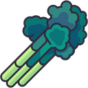 پیش‌نمایش فایل celery-6484094 از پک سبزیجات
