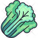 پیش‌نمایش فایل lettuce-6484109 از پک سبزیجات