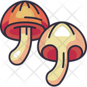 پیش‌نمایش فایل mushroom-shiitake-6484110 از پک سبزیجات