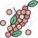 پیش‌نمایش فایل pepper-6484113 از پک سبزیجات