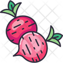 پیش‌نمایش فایل red-radish-6484119 از پک سبزیجات