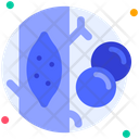 پیش‌نمایش فایل blood-cells-6753800 از پک اندام انسان