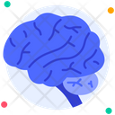پیش‌نمایش فایل brain-6753801 از پک اندام انسان