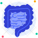 پیش‌نمایش فایل intestine-6753809 از پک اندام انسان