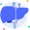 پیش‌نمایش فایل liver-6753814 از پک اندام انسان