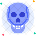 پیش‌نمایش فایل skull-6753820 از پک اندام انسان