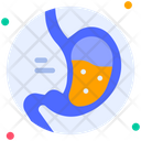 پیش‌نمایش فایل stomach-6753823 از پک اندام انسان