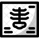 پیش‌نمایش فایل xray-7109568 از پک بیمارستان