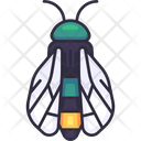 پیش‌نمایش فایل cicada-7249393 از پک تابستان