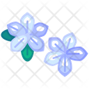 پیش‌نمایش فایل frangipani-7249010 از پک تابستان