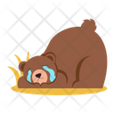 پیش‌نمایش فایل bear-8125384 از پک حیوانات وحشی