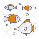 پیش‌نمایش فایل fishes-9620131 از پک اقیانوس